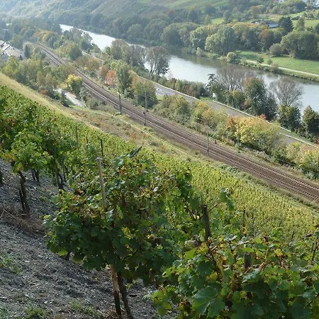 Weingut Konig Johann Konz