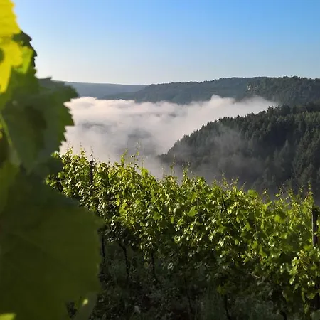 Weingut Konig Johann Guest house